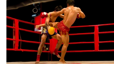 Casting gémeos de todas as idades e etnias que pratiquem muay thai para videoclipe nacional